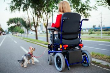 Zunanji invalidski voziček